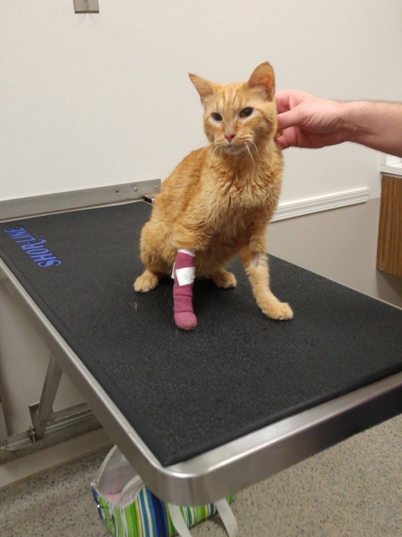 Veterinary Small Animal Hospital (VSAH)