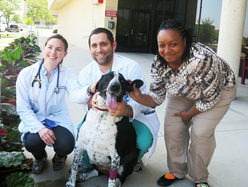 Veterinary Small Animal Hospital (VSAH)