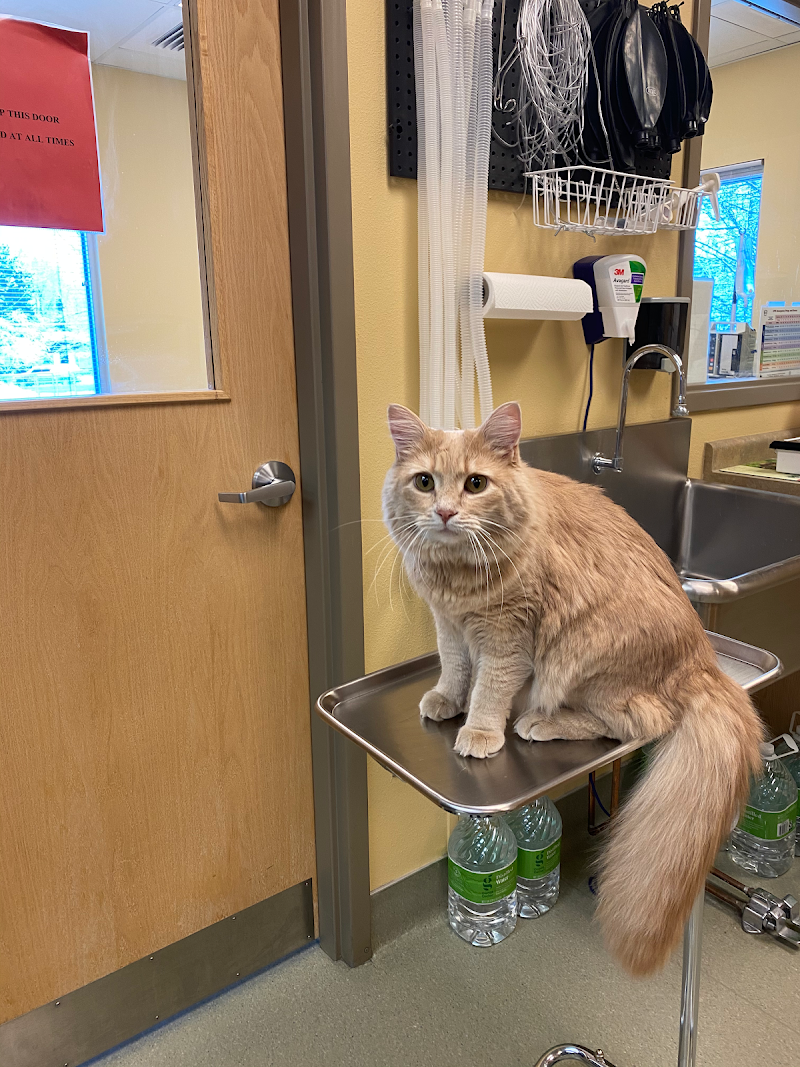 Gentle Touch Animal Hospital