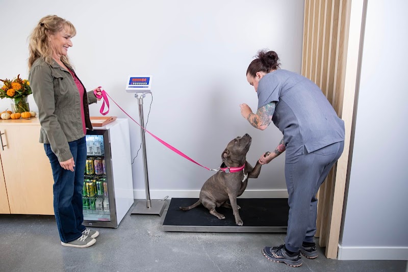 Noe Animal Hospital