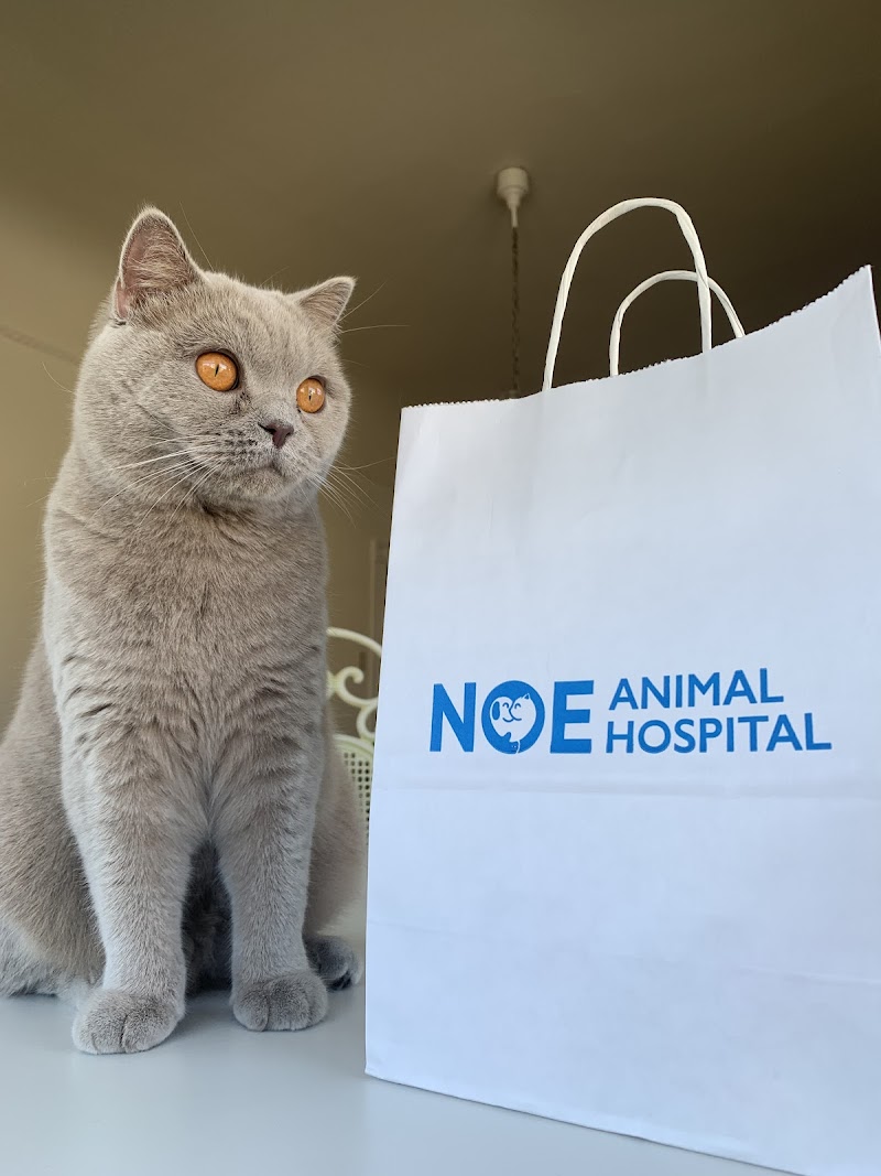 Noe Animal Hospital