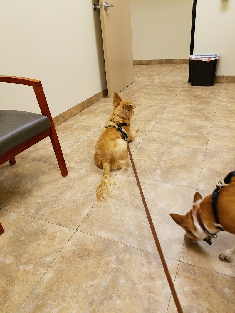 BluePearl Pet Hospital