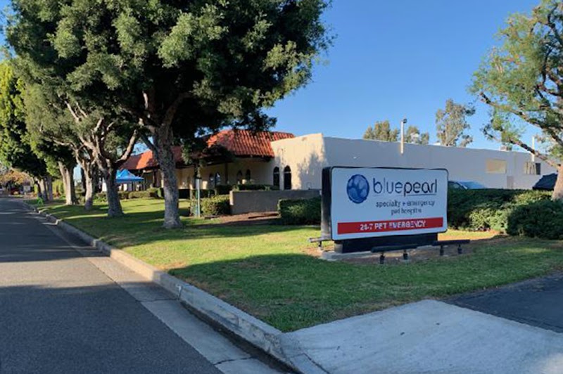 BluePearl Pet Hospital