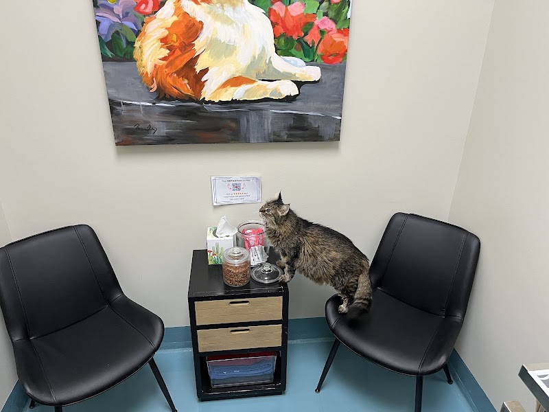 Firehouse Animal Health Center 183