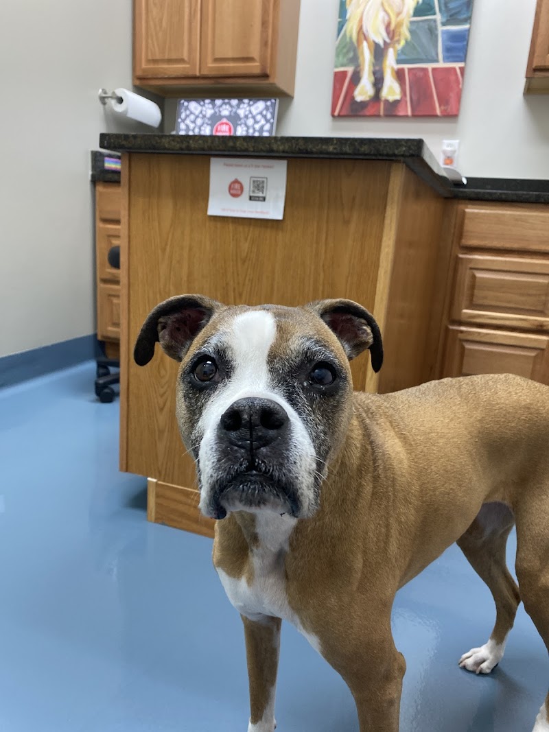 Firehouse Animal Health Center 183