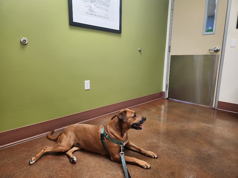 Ingleside Animal Hospital