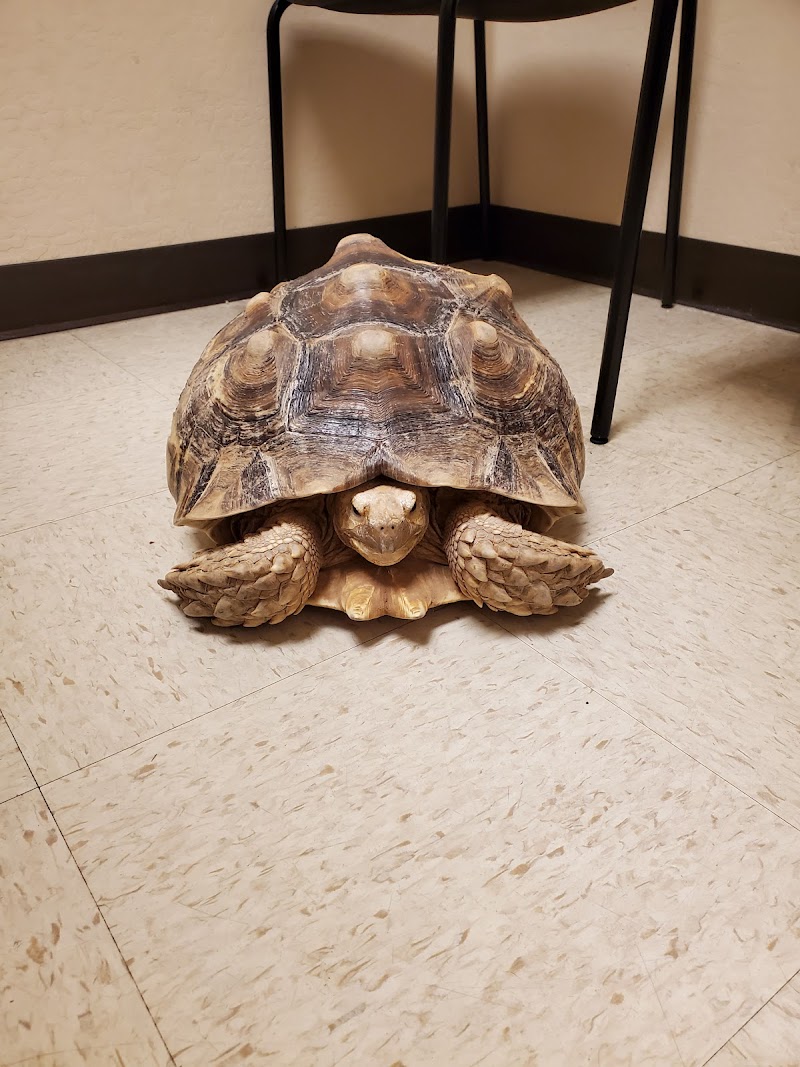 Exotic Pet Vets (Phoenix)