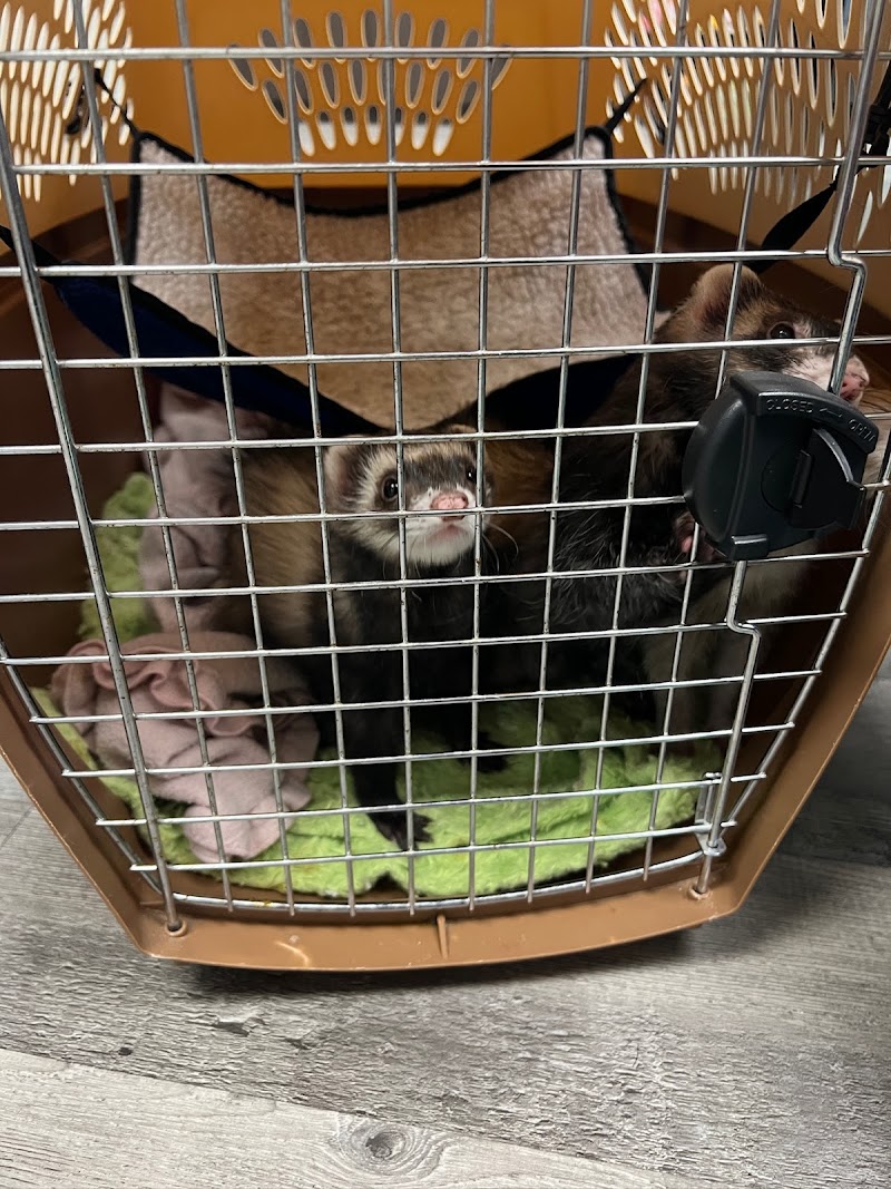 Exotic Pet Vets (Phoenix)