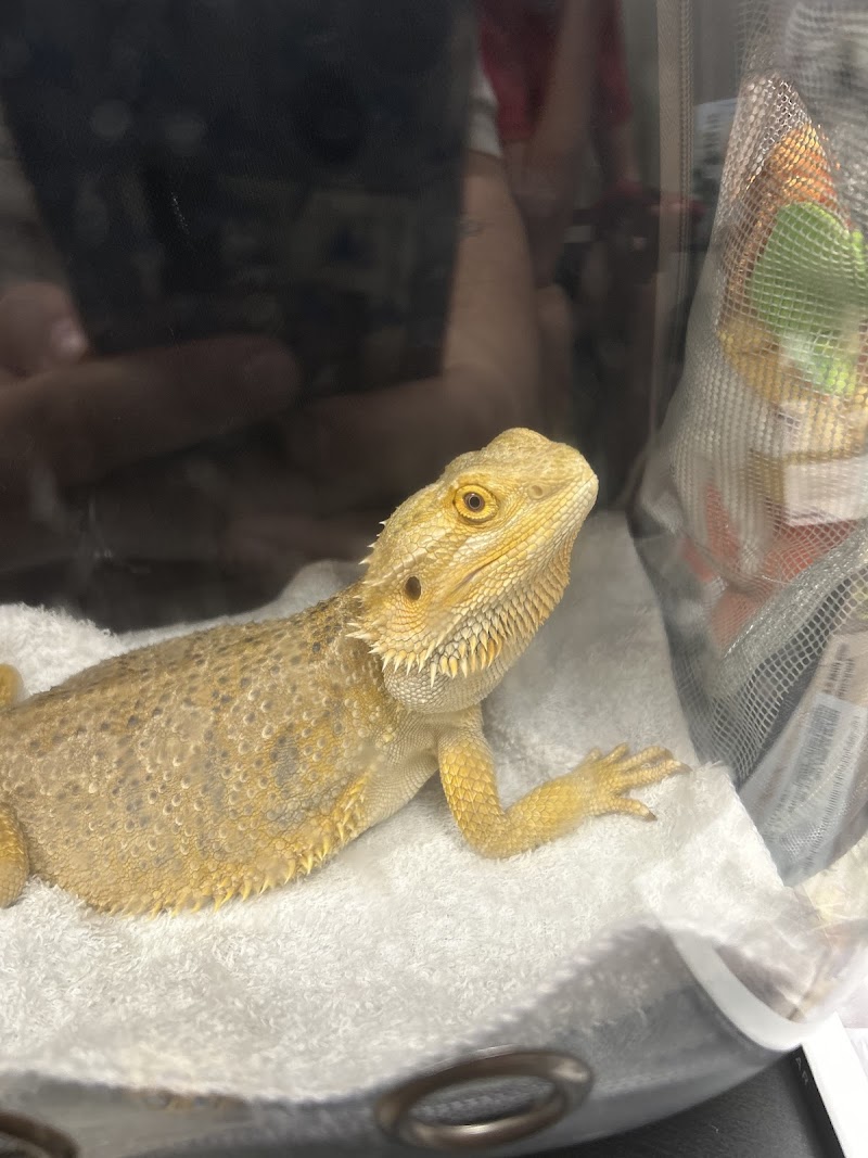 Exotic Pet Vets (Phoenix)