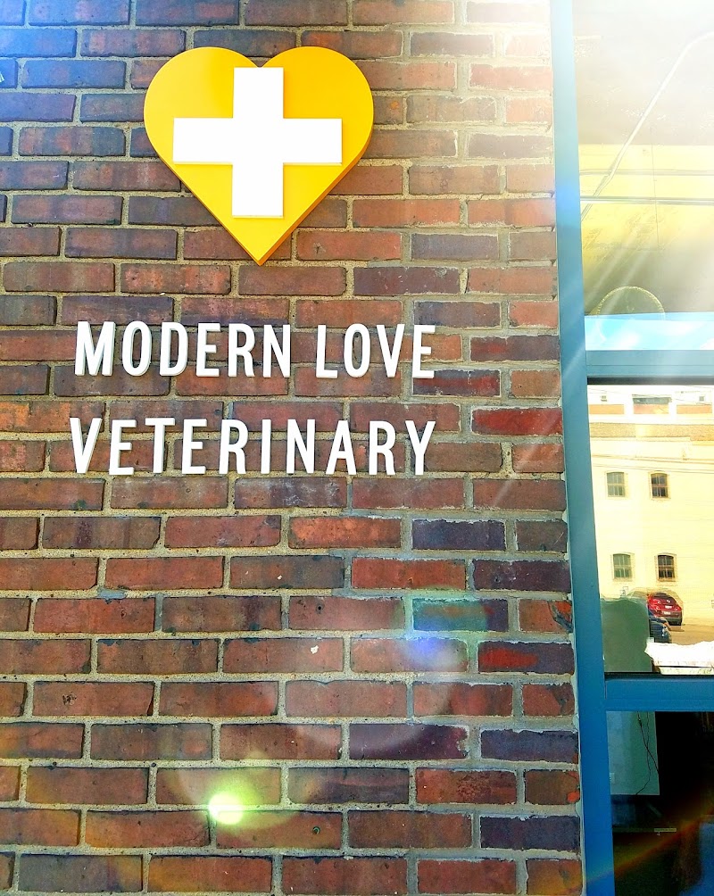 Modern Love Veterinary
