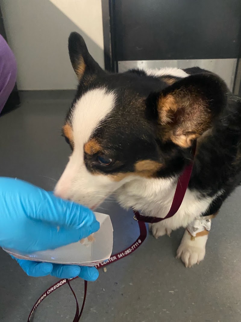 Southern Oregon Veterinary Specialty Center
