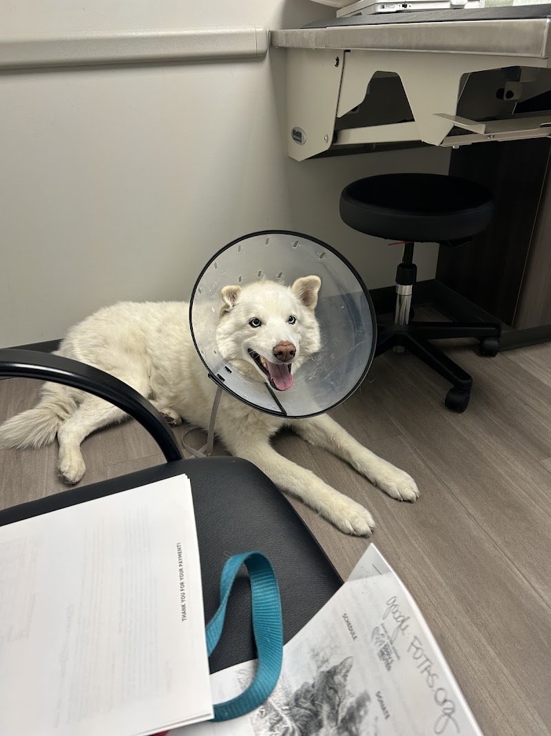 Southern Oregon Veterinary Specialty Center