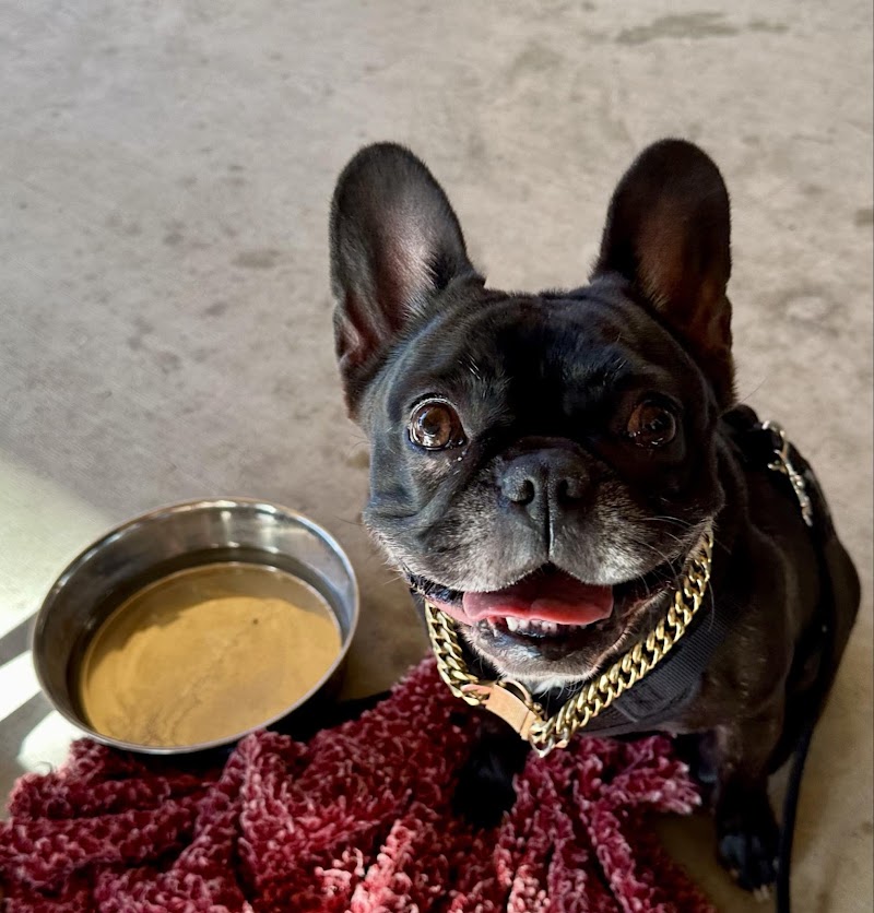 Southern Oregon Veterinary Specialty Center