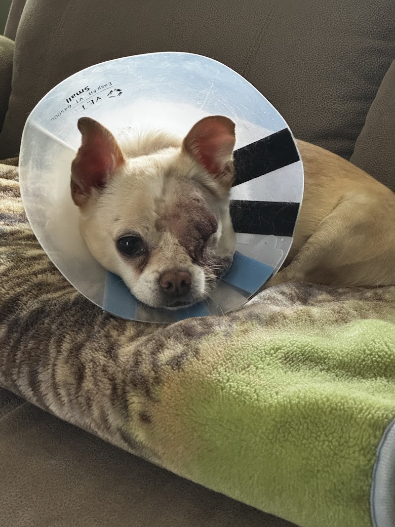 Southern Oregon Veterinary Specialty Center