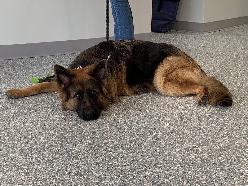 Fairfax Veterinary Hospital