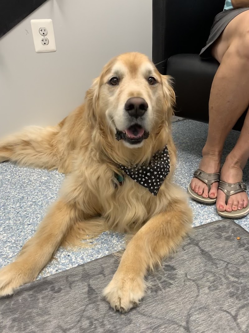 Fairfax Veterinary Hospital - Fairfax
