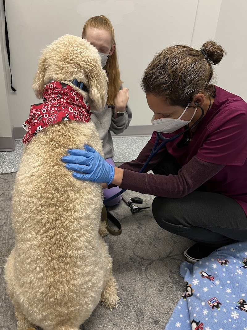 Fairfax Veterinary Hospital