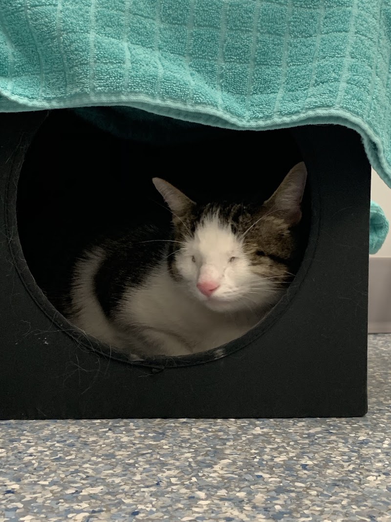 Fairfax Veterinary Hospital