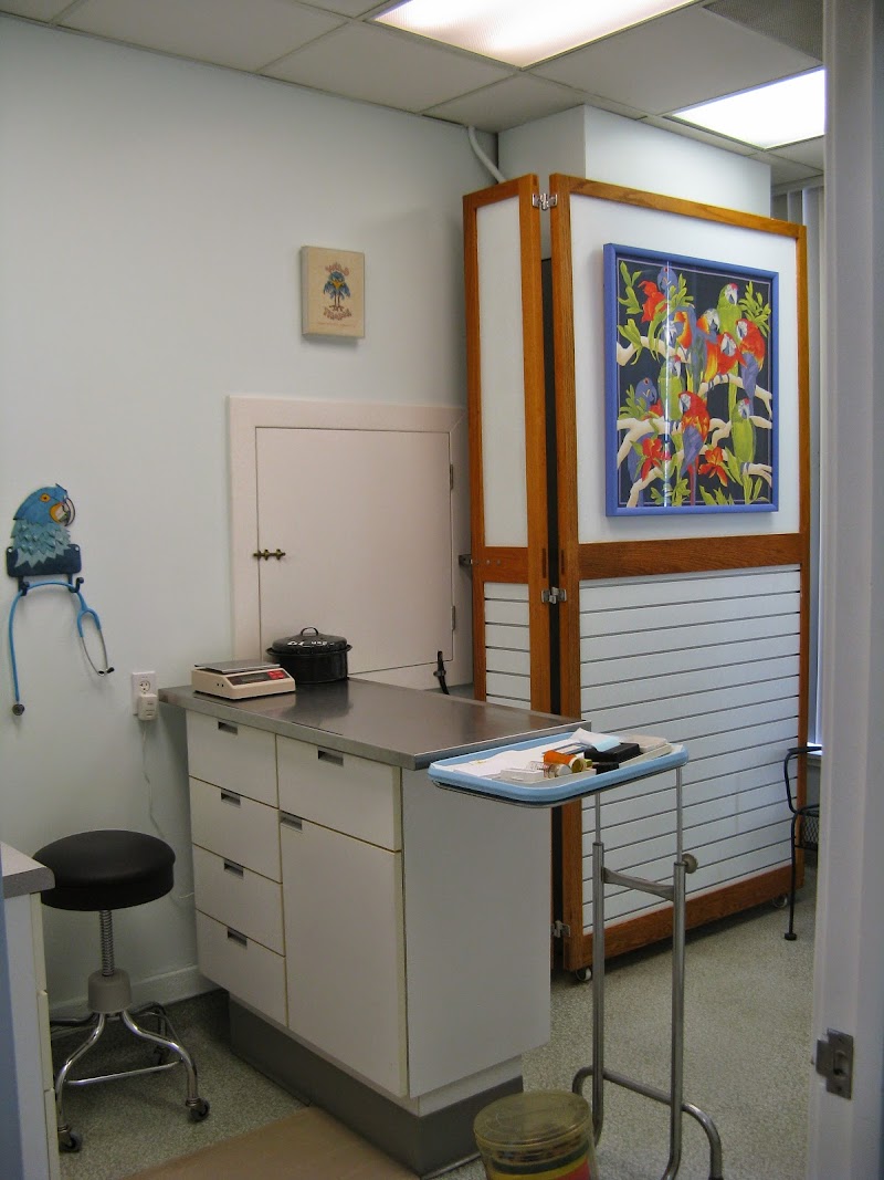 Bay Area Bird and Exotics Hospital