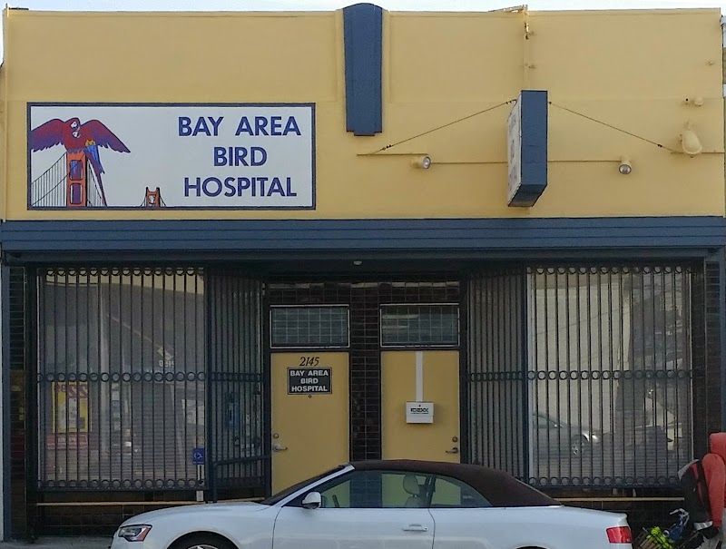 Bay Area Bird and Exotics Hospital