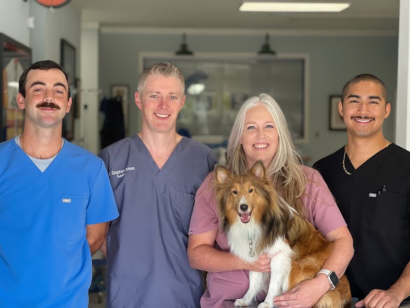 H-Town Veterinary Specialists (Stafford)