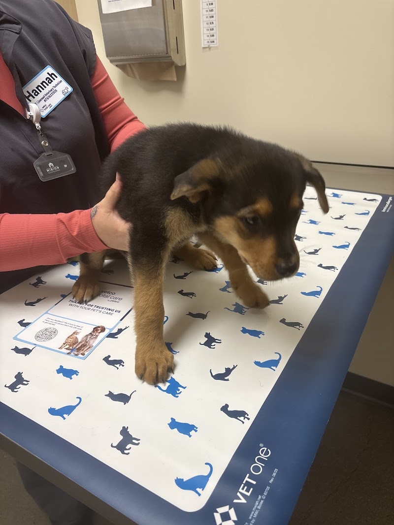 Vetco Total Care