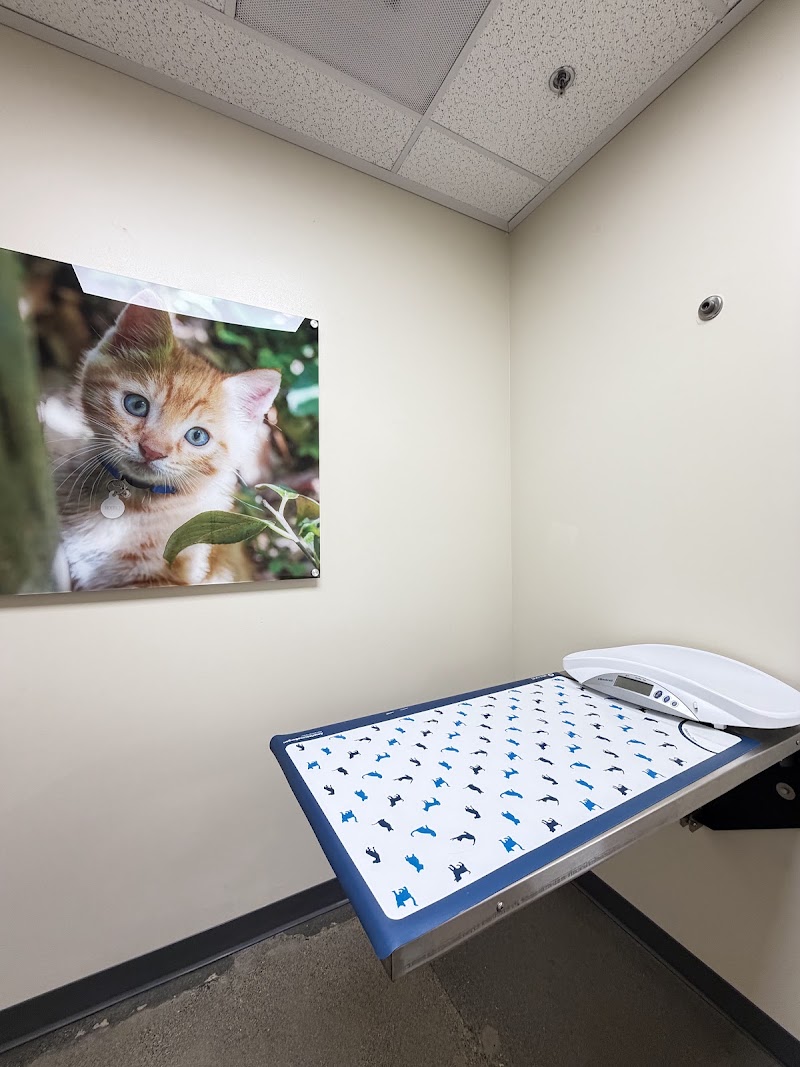 Vetco Total Care