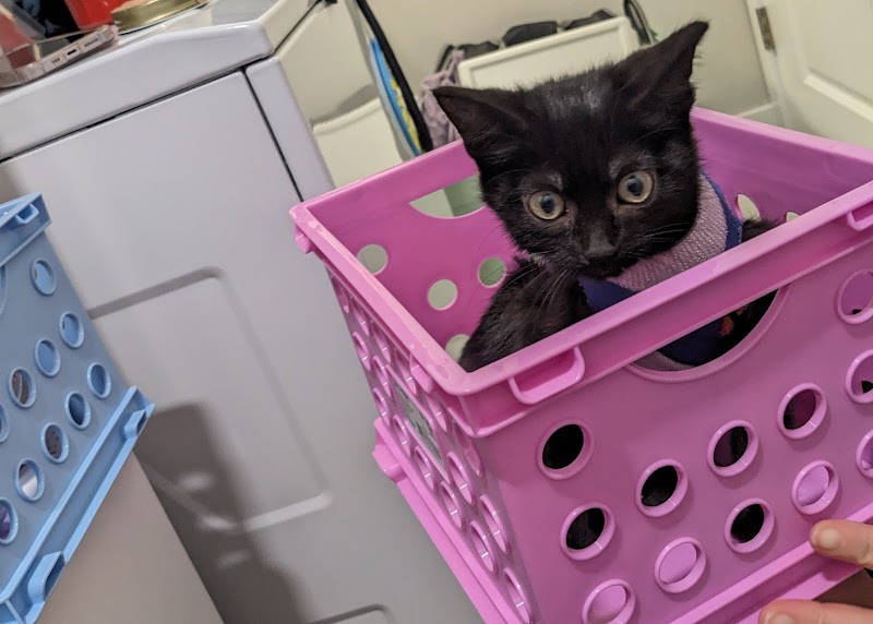Vetco Total Care