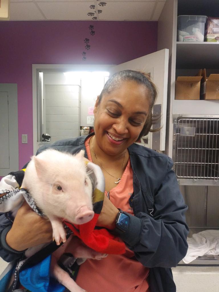 Critter Care Animal Hospital