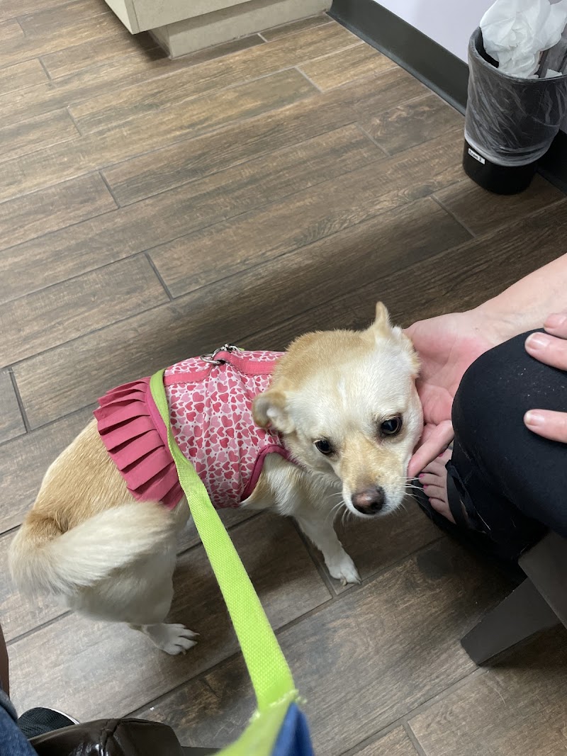 Allure Veterinary Hospital & Urgent Care