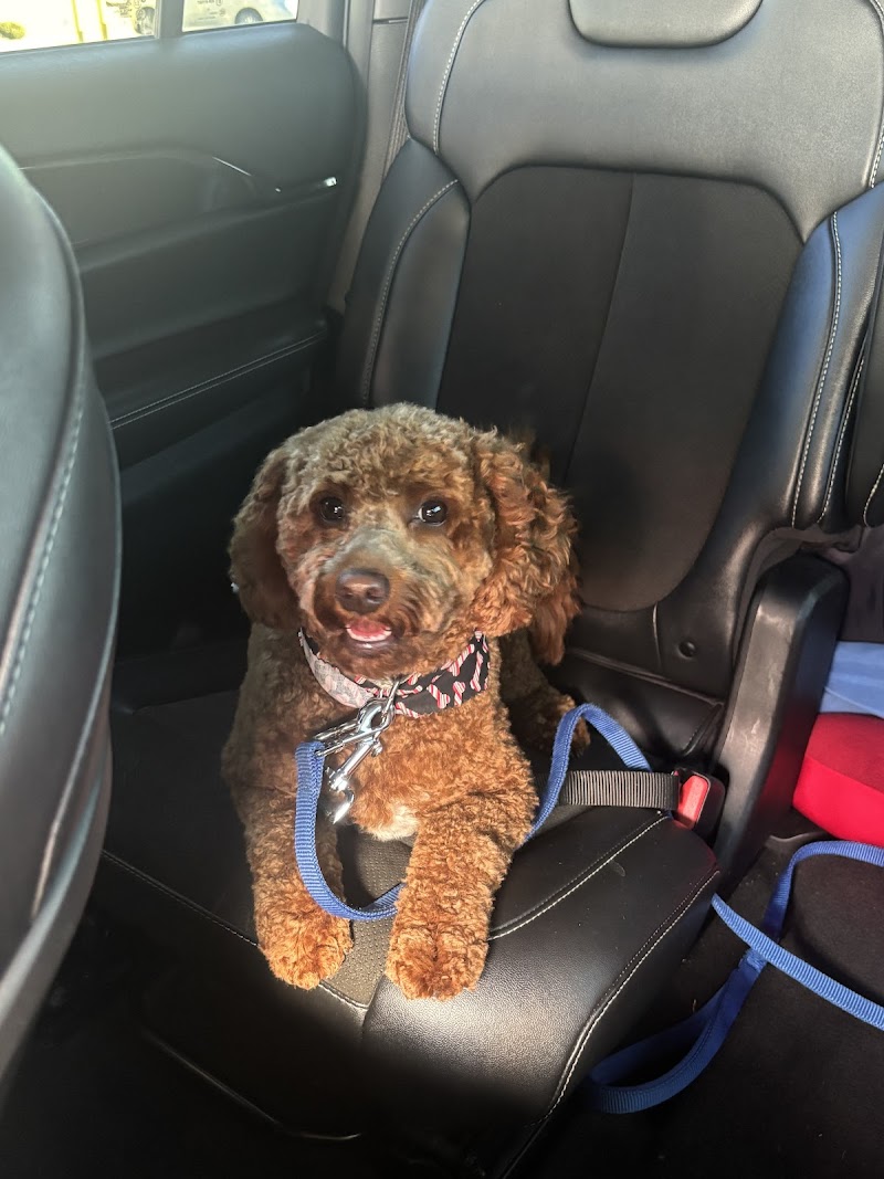 Rancocas Veterinary Associates