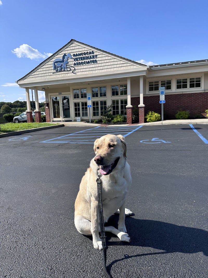 Rancocas Veterinary Associates