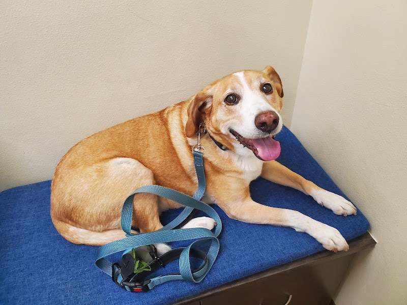 Loveland Veterinary Clinic
