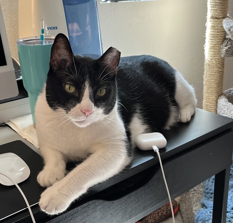 Loveland Veterinary Clinic