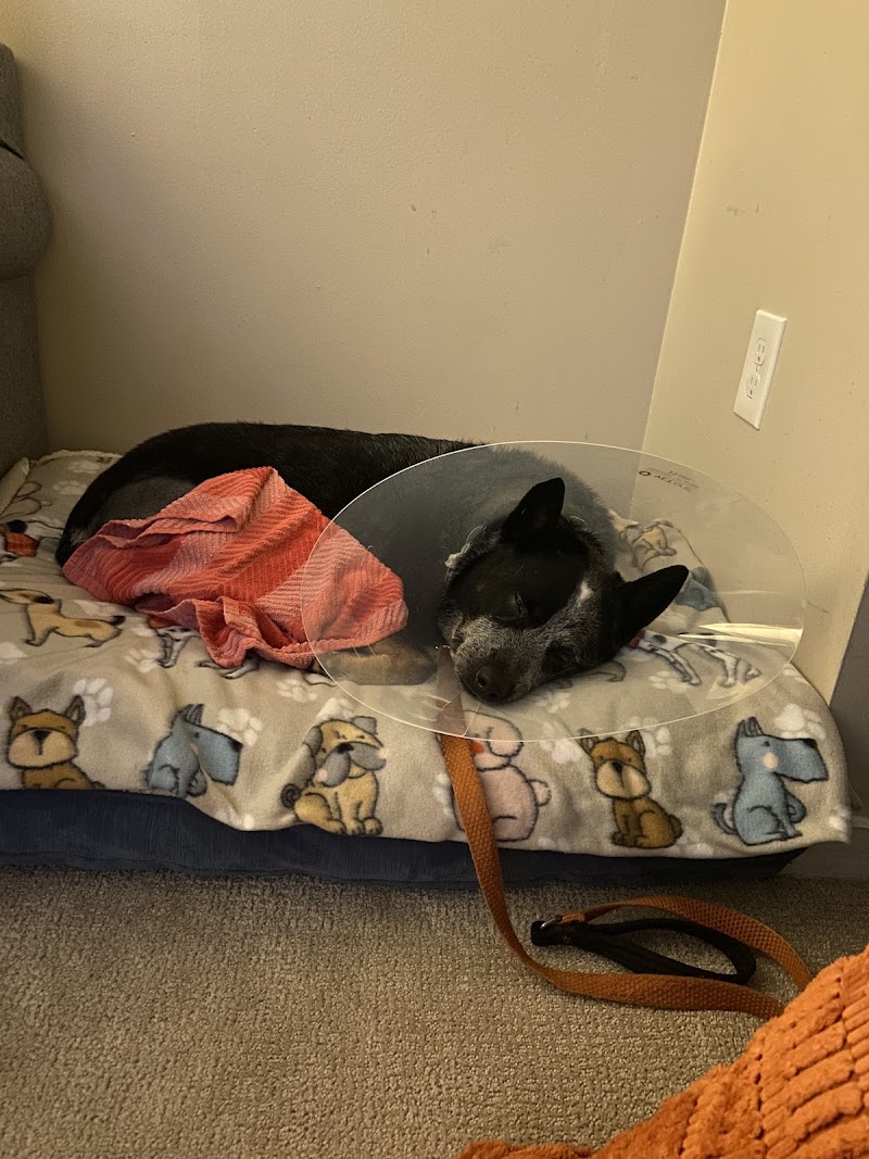 VCA Capital Area Veterinary Emergency and Specialty