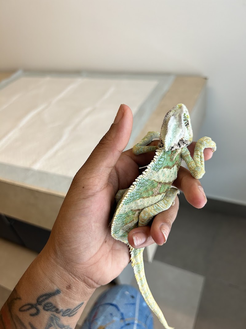 All Species Animal Hospital