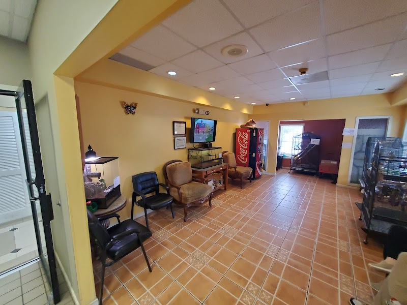 All Species Animal Hospital - Duluth