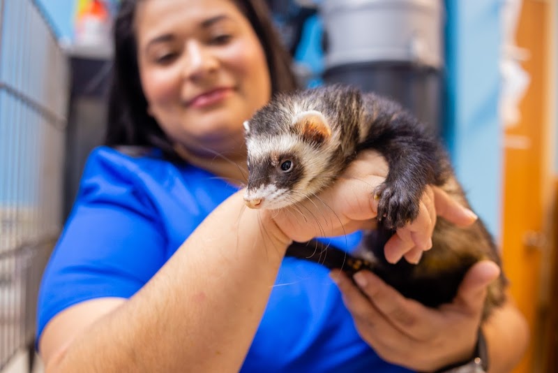 All Species Animal Hospital