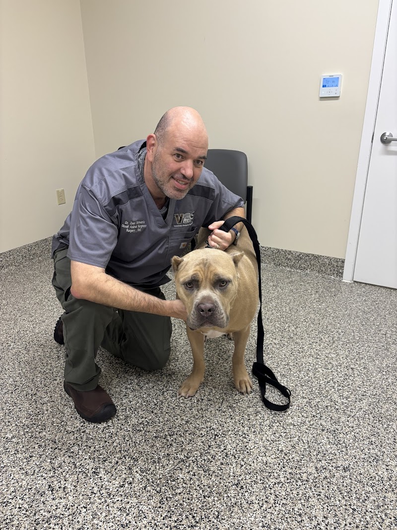 Veterinary Surgery Specialists