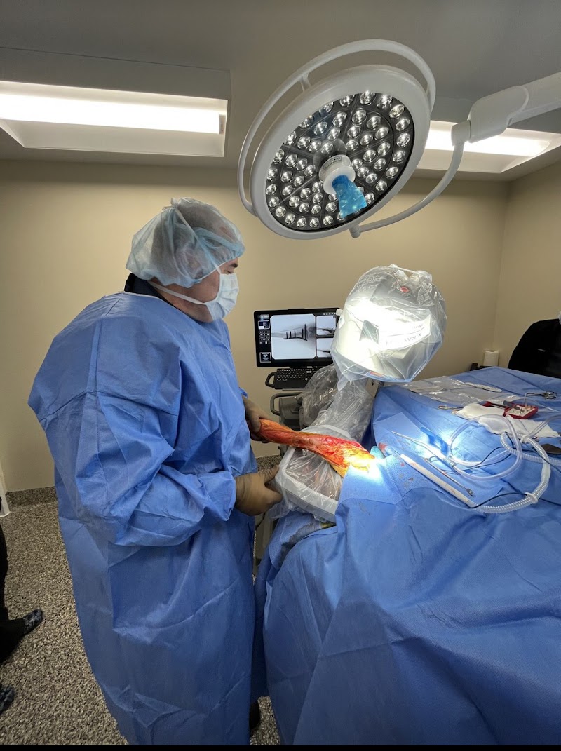 Veterinary Surgery Specialists