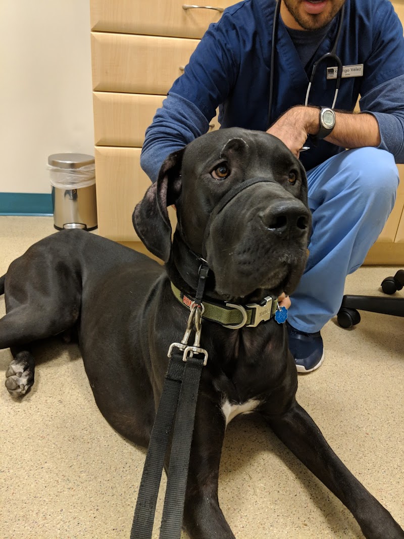 Urban Vet Care