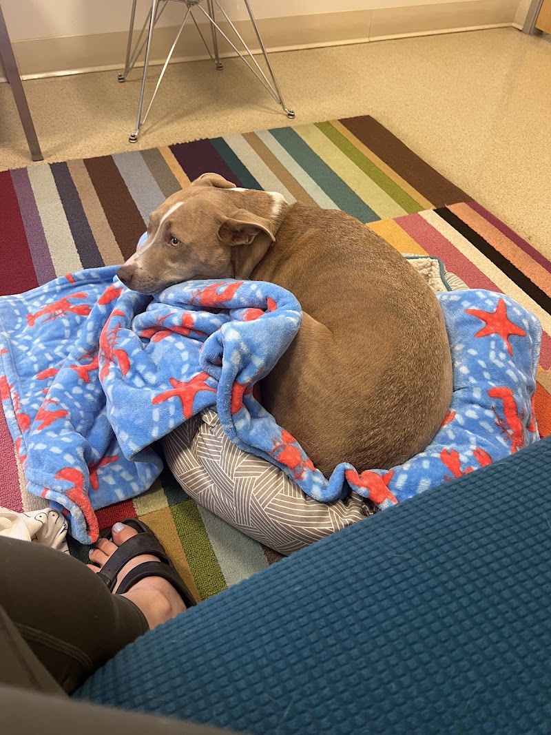 Urban Vet Care