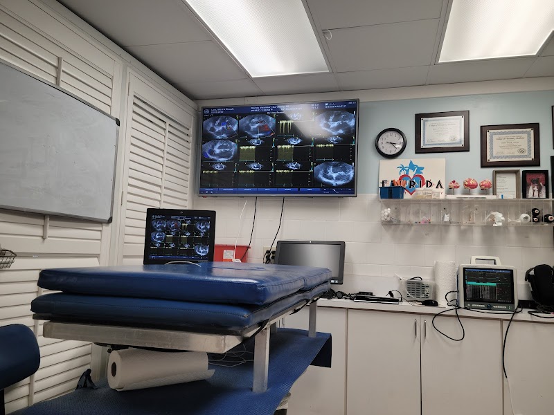 Florida Veterinary Cardiology