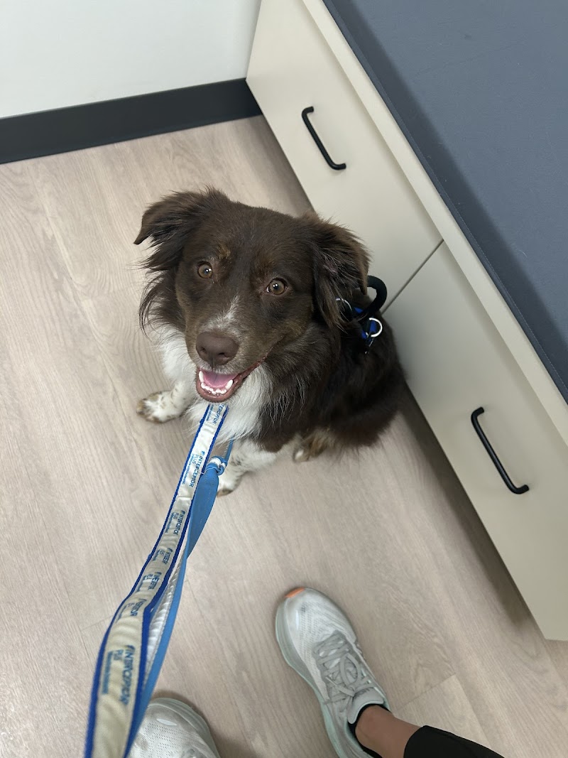 Charlotte Veterinary Hospital