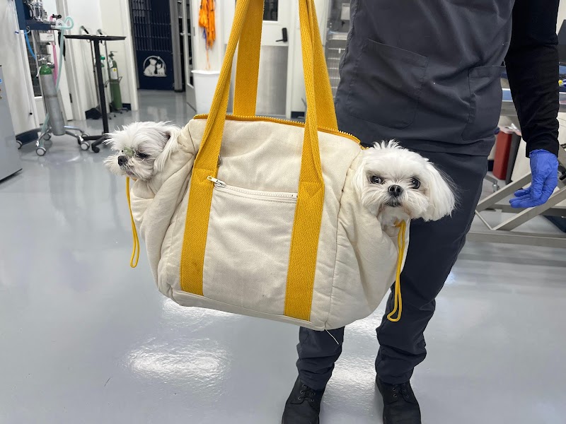 Animal Urgent Care