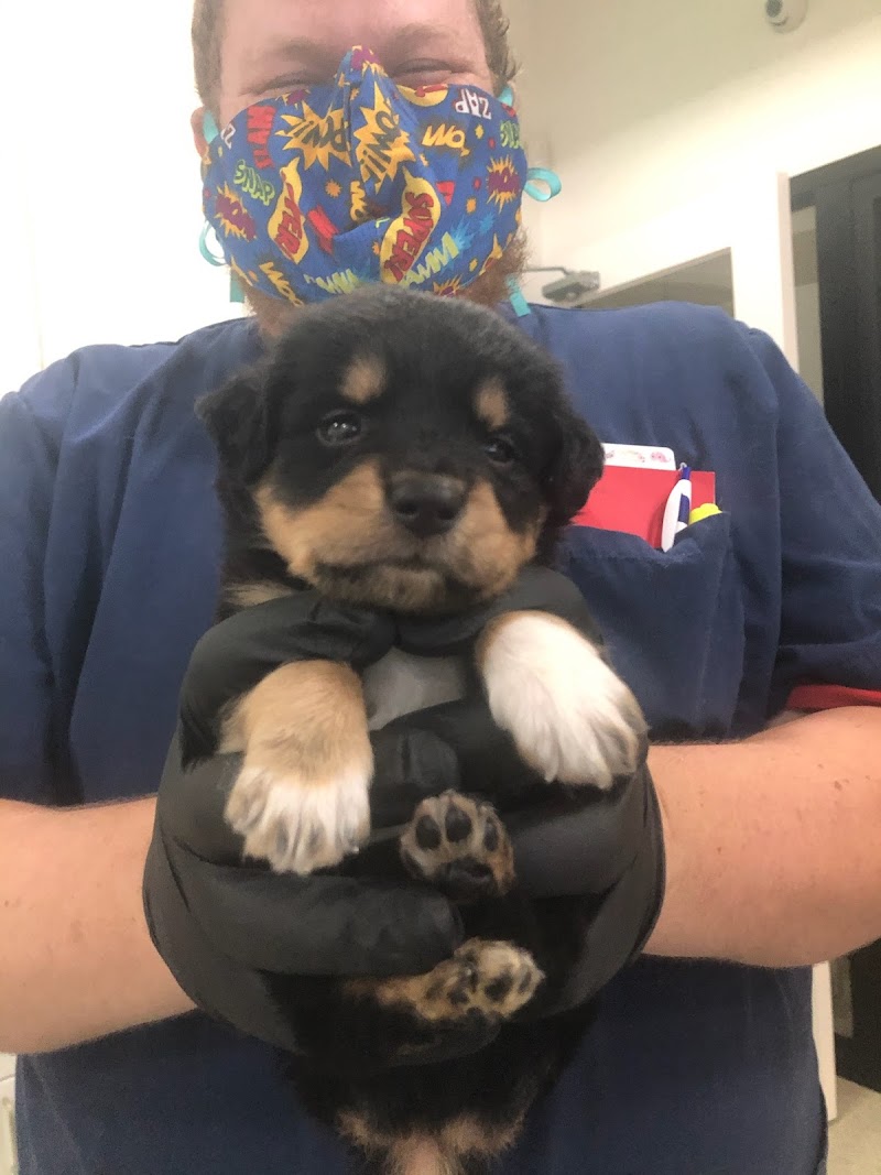 Animal Urgent Care