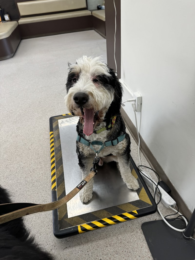 Veterinary Medical Center
