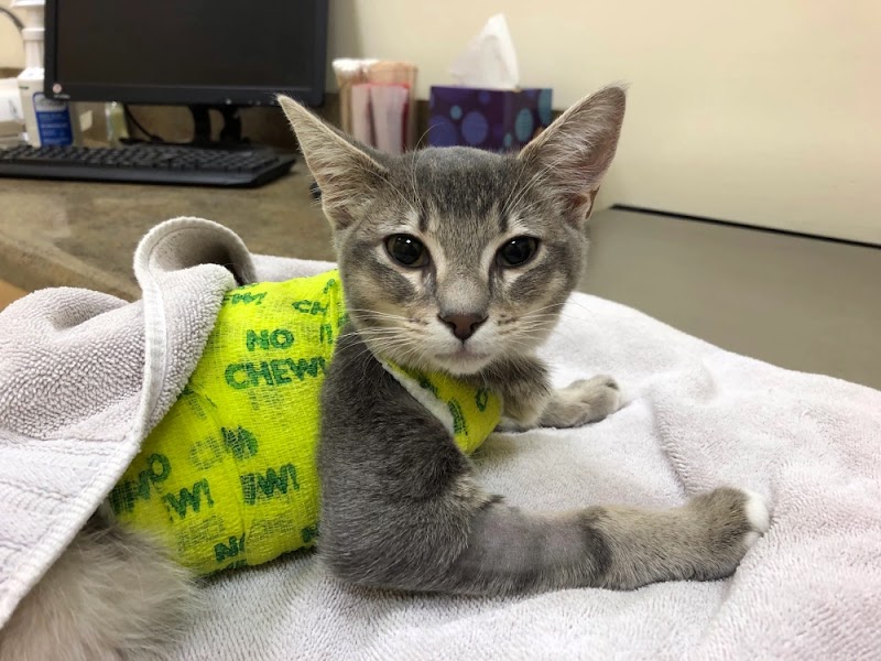 Serra Veterinary Hospital