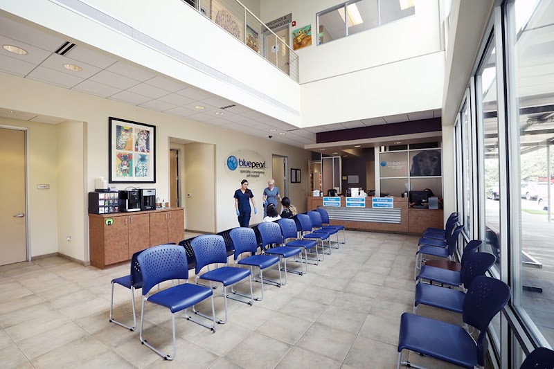 BluePearl Pet Hospital