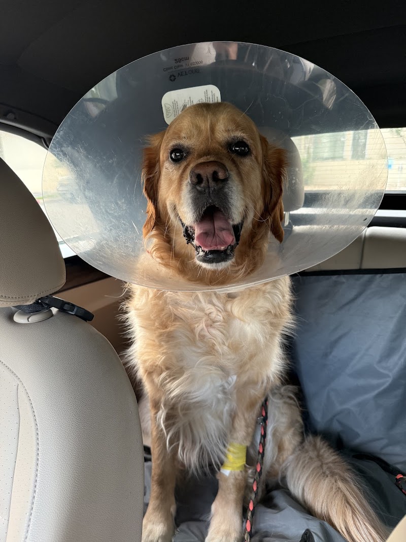 BluePearl Pet Hospital